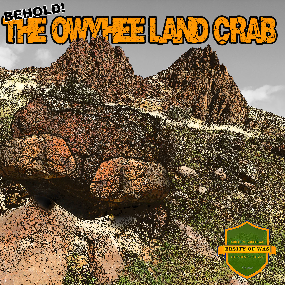 Read more about the article Campus Legends: The Owyhee Land Crab